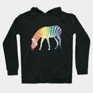 Rainbow zebra Hoodie